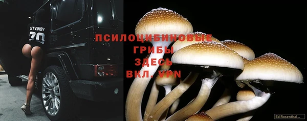 эйфоретик Балахна