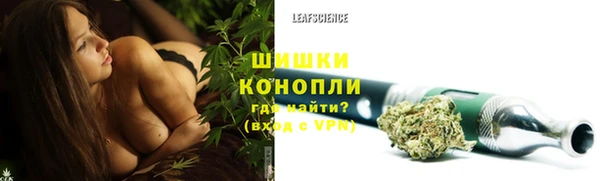 ГАЛЛЮЦИНОГЕННЫЕ ГРИБЫ Аркадак