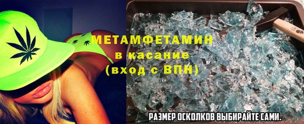 ГАЛЛЮЦИНОГЕННЫЕ ГРИБЫ Аркадак