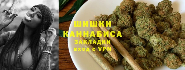 ГАЛЛЮЦИНОГЕННЫЕ ГРИБЫ Аркадак