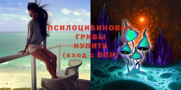 эйфоретик Балахна