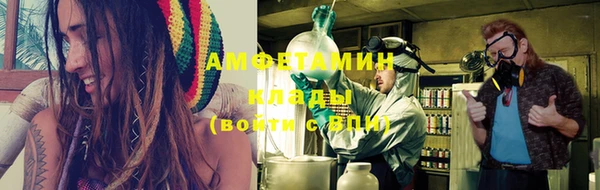 ГАЛЛЮЦИНОГЕННЫЕ ГРИБЫ Аркадак