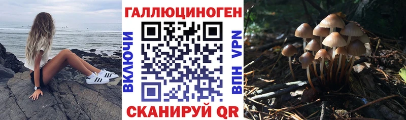 Галлюциногенные грибы Psilocybine cubensis  мориарти формула  Нурлат 